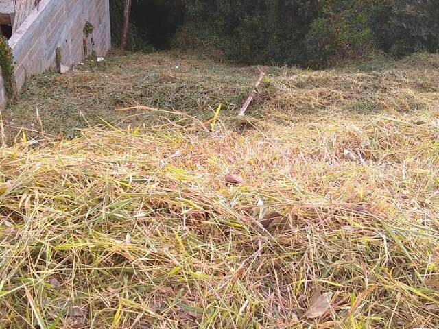 #118 - Terreno para Venda em Poços de Caldas - MG